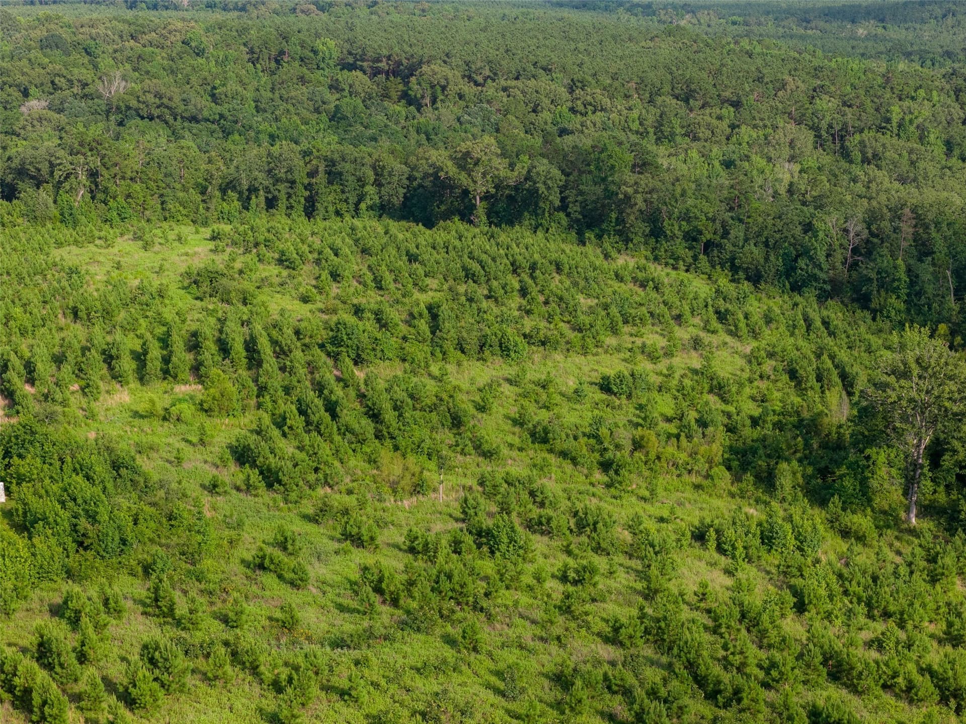 48.29 acres in Rusk County - photo 5