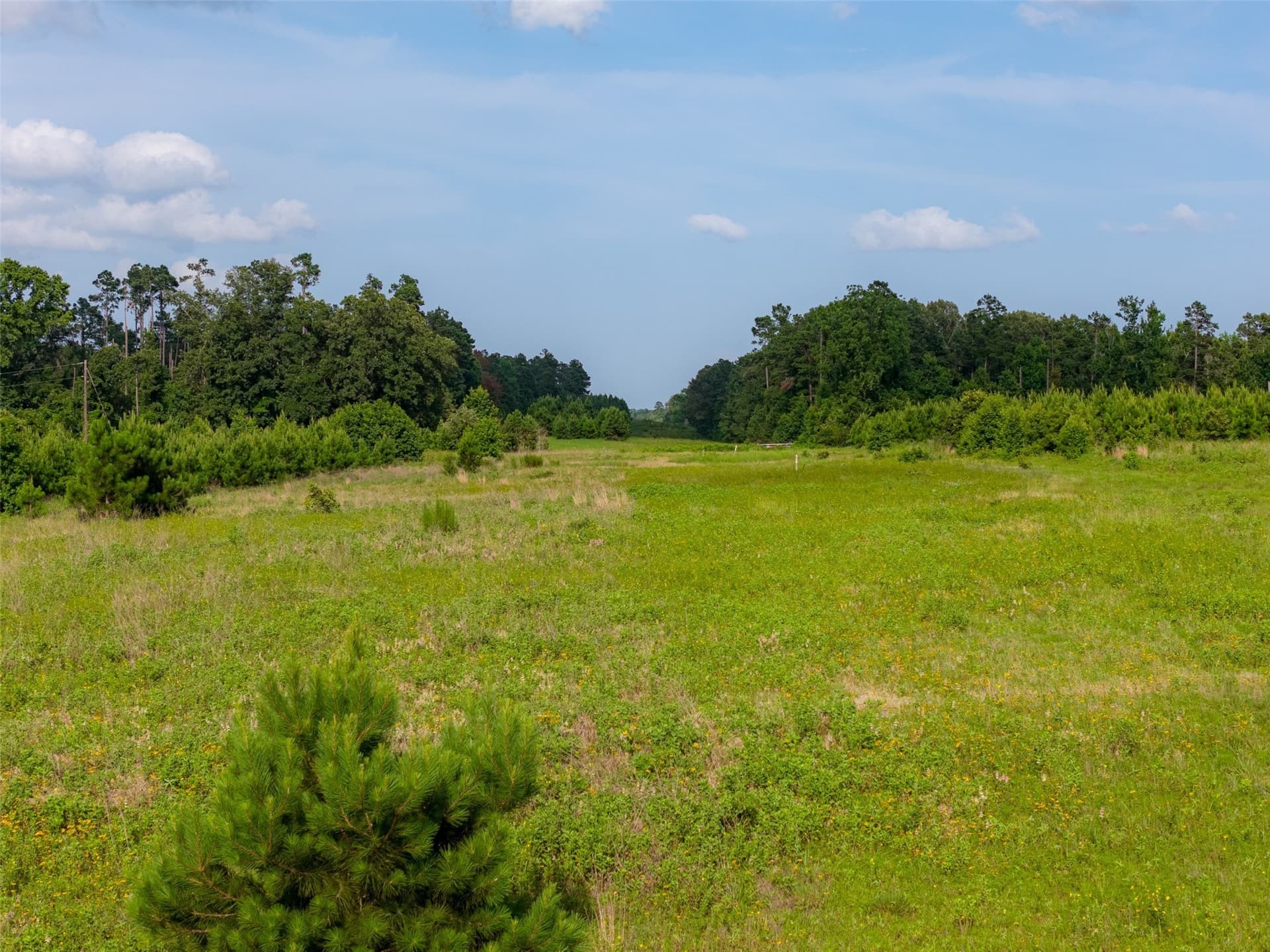 48.29 acres in Rusk County - photo 8