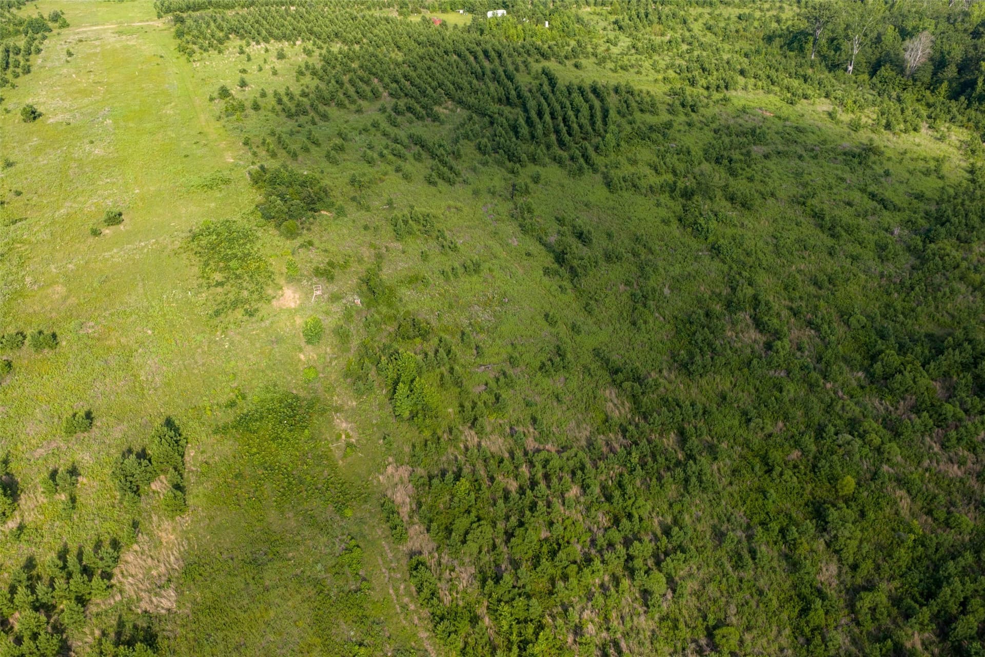 48.29 acres in Rusk County - photo 20