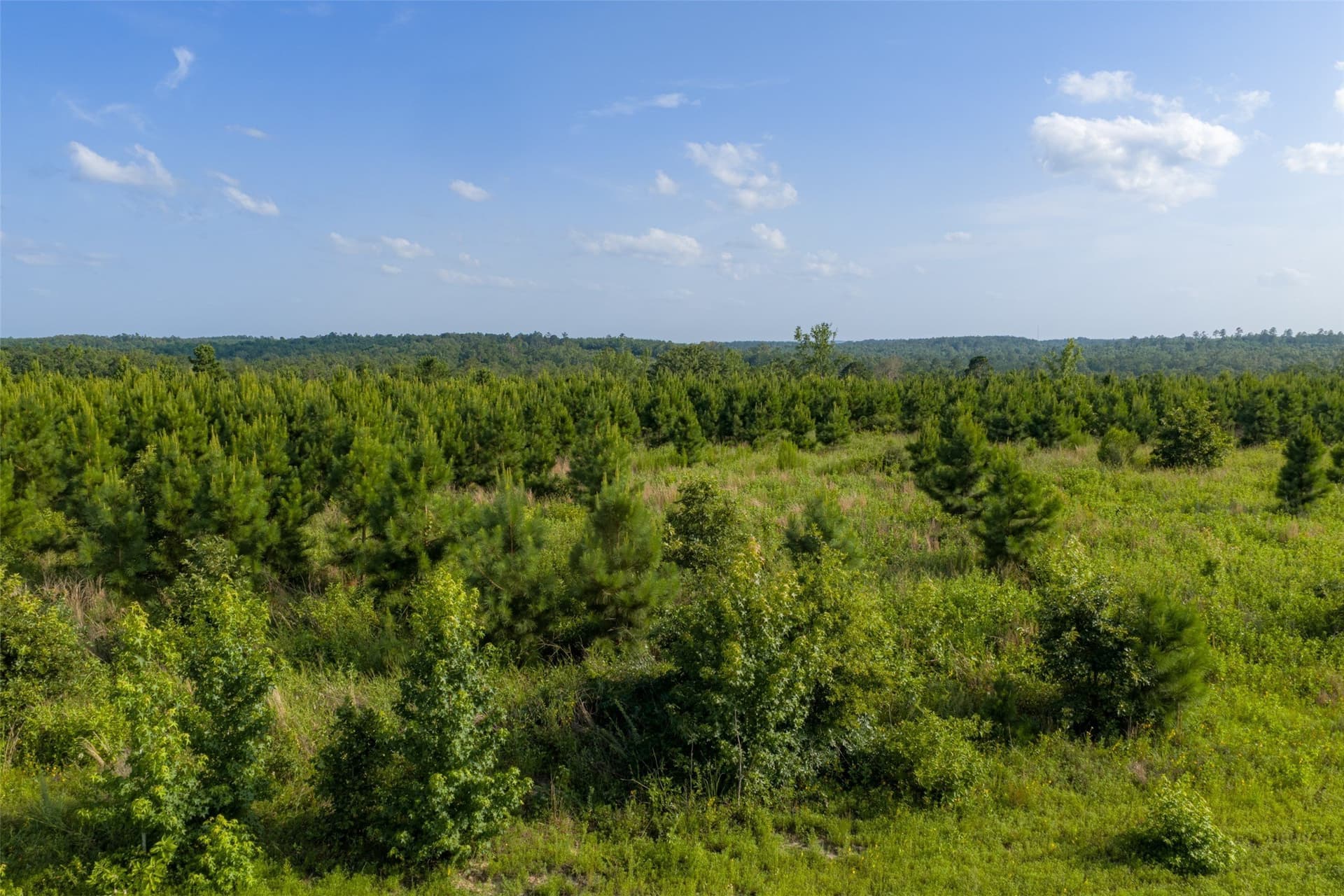 48.29 acres in Rusk County - photo 2