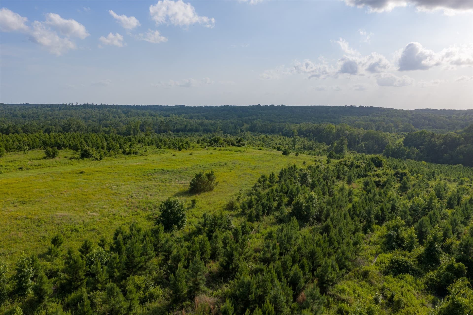 48.29 acres in Rusk County - photo 31