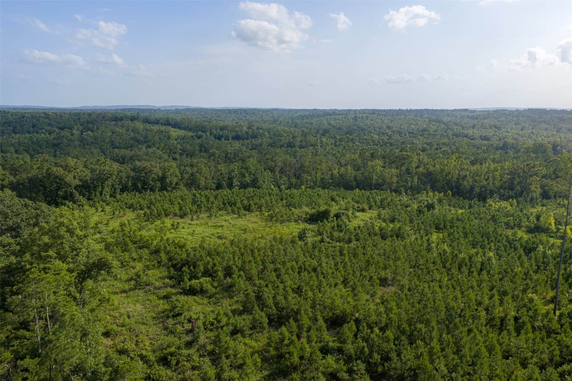 48.29 acres in Rusk County - photo 30
