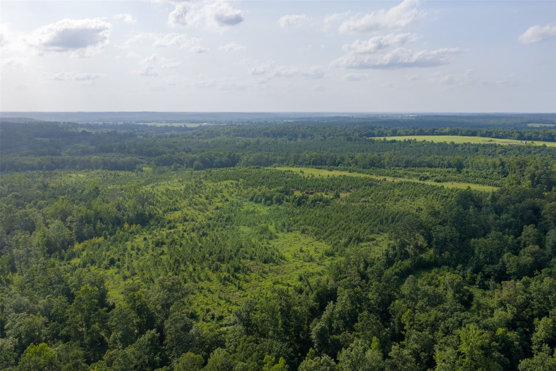48.29 acres in Rusk County - photo 23