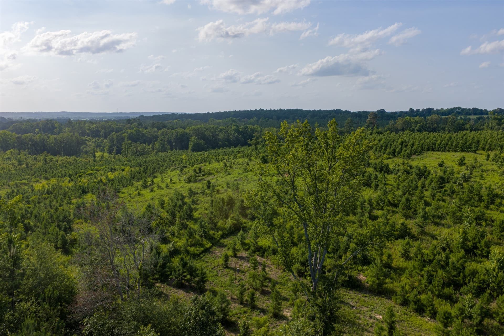 48.29 acres in Rusk County - photo 4