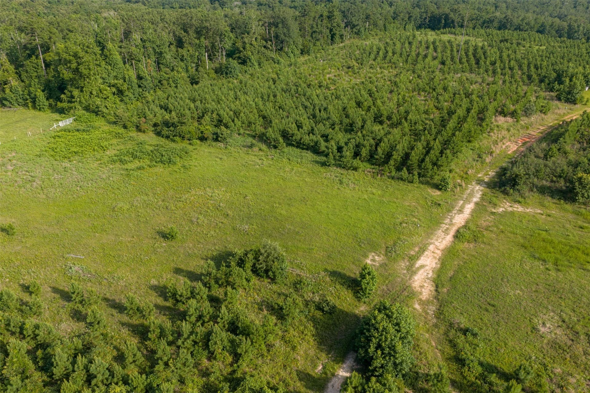48.29 acres in Rusk County - photo 25
