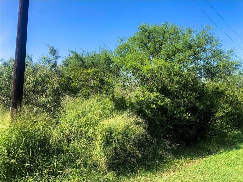 1 acres in Bee County - photo 3