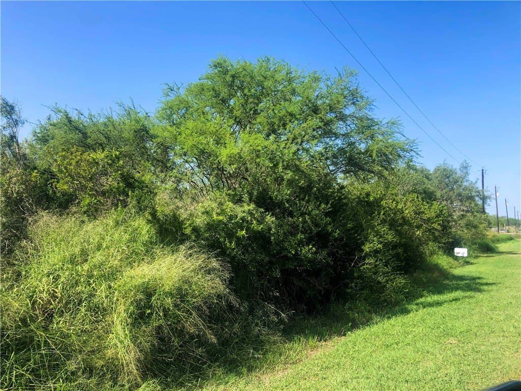 1 acres in Bee County - photo 2