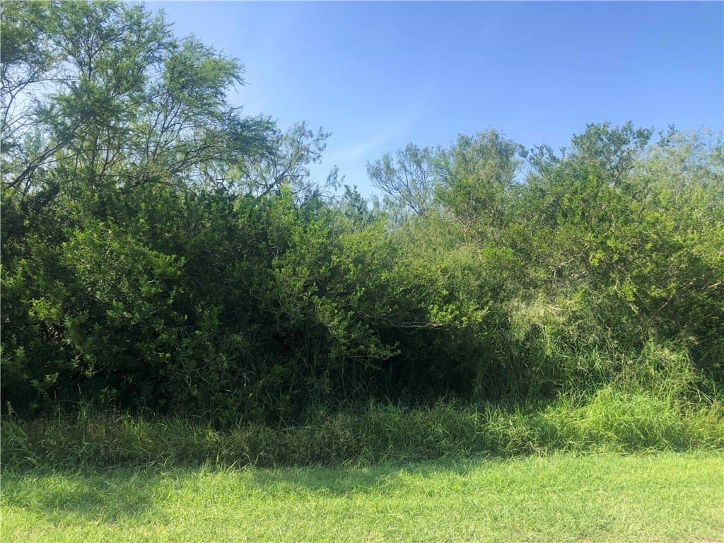 1 acres in Bee County - photo 4