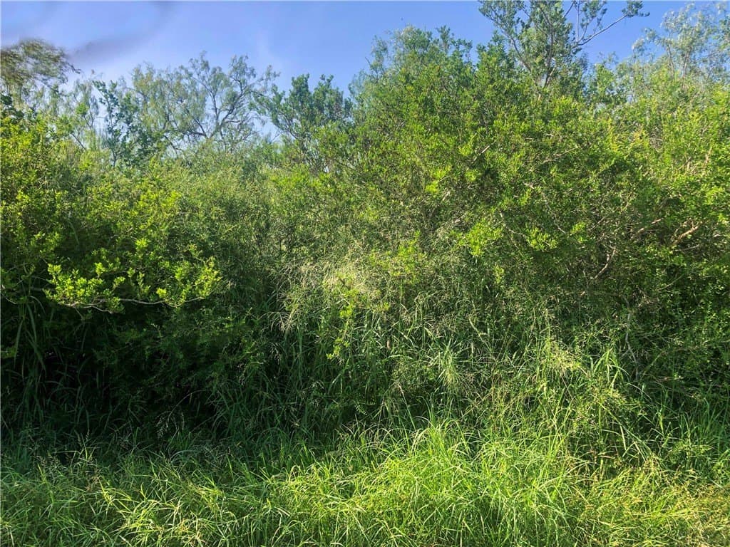 1 acres in Bee County