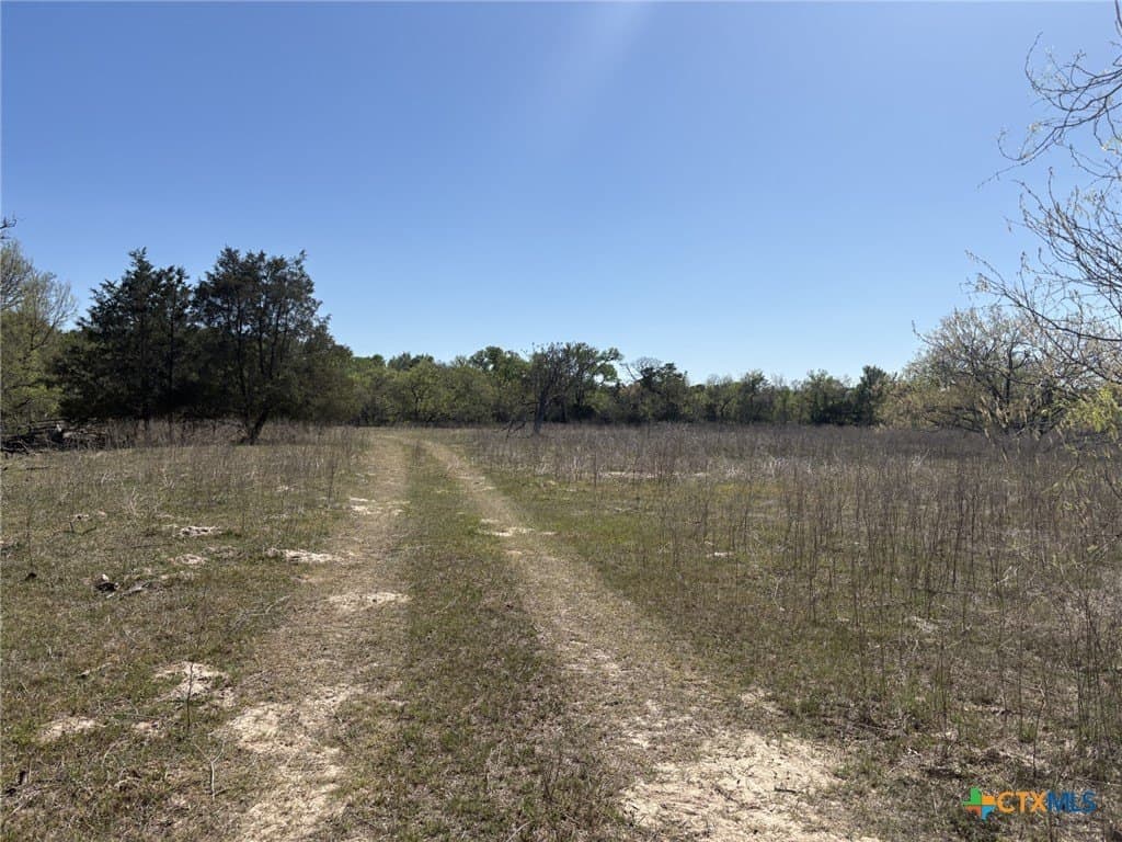 207.5 acres in Fayette County gallery image 4