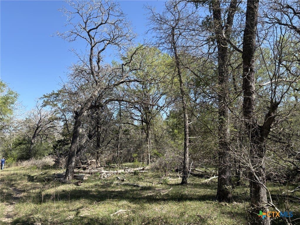 207.5 acres in Fayette County - photo 10