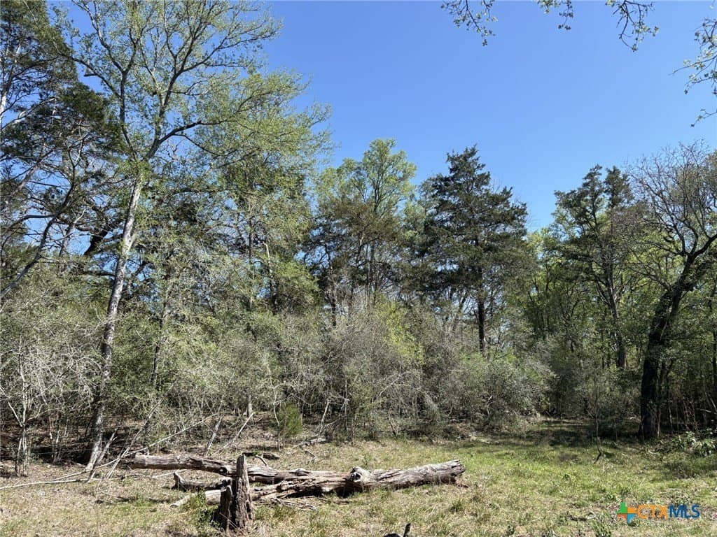 207.5 acres in Fayette County - photo 20