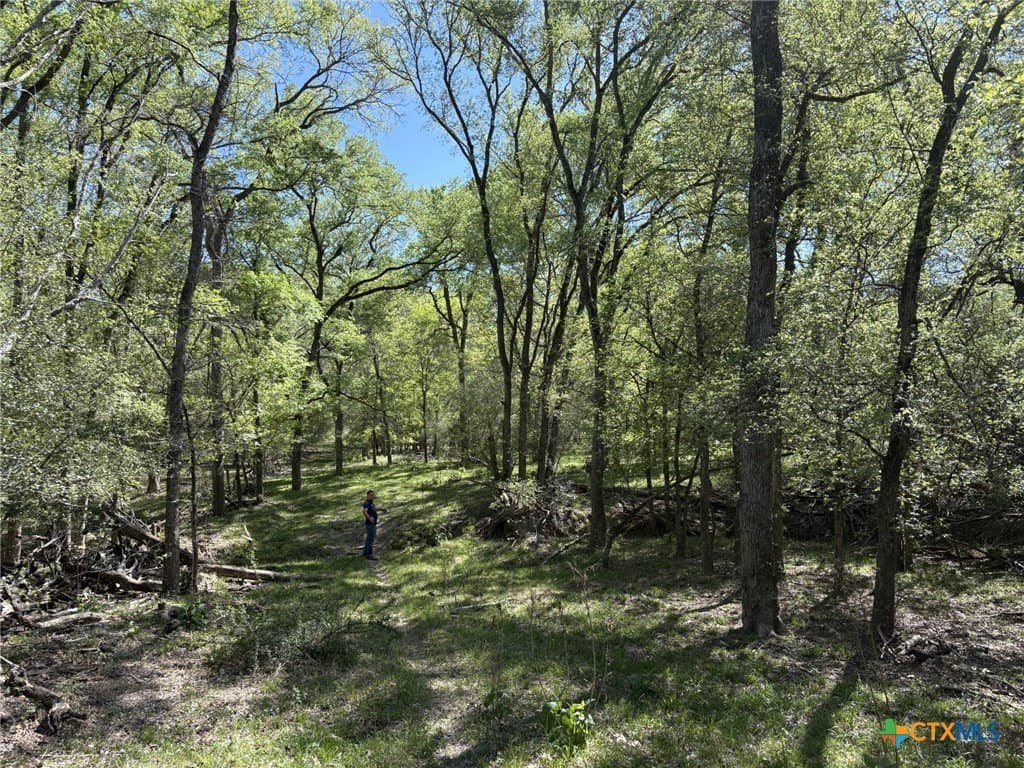 207.5 acres in Fayette County - photo 19