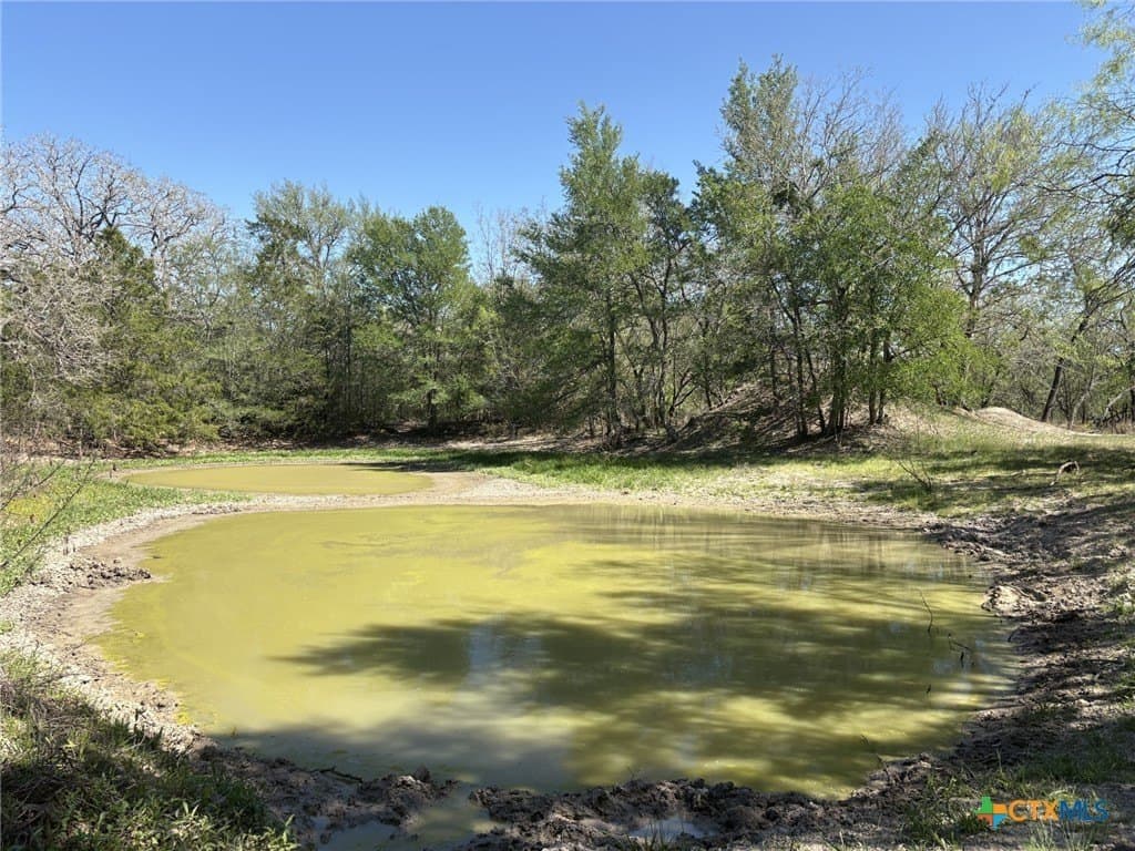 207.5 acres in Fayette County gallery image 2