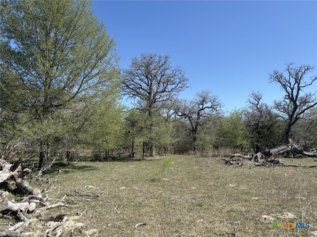 207.5 acres in Fayette County - photo 15
