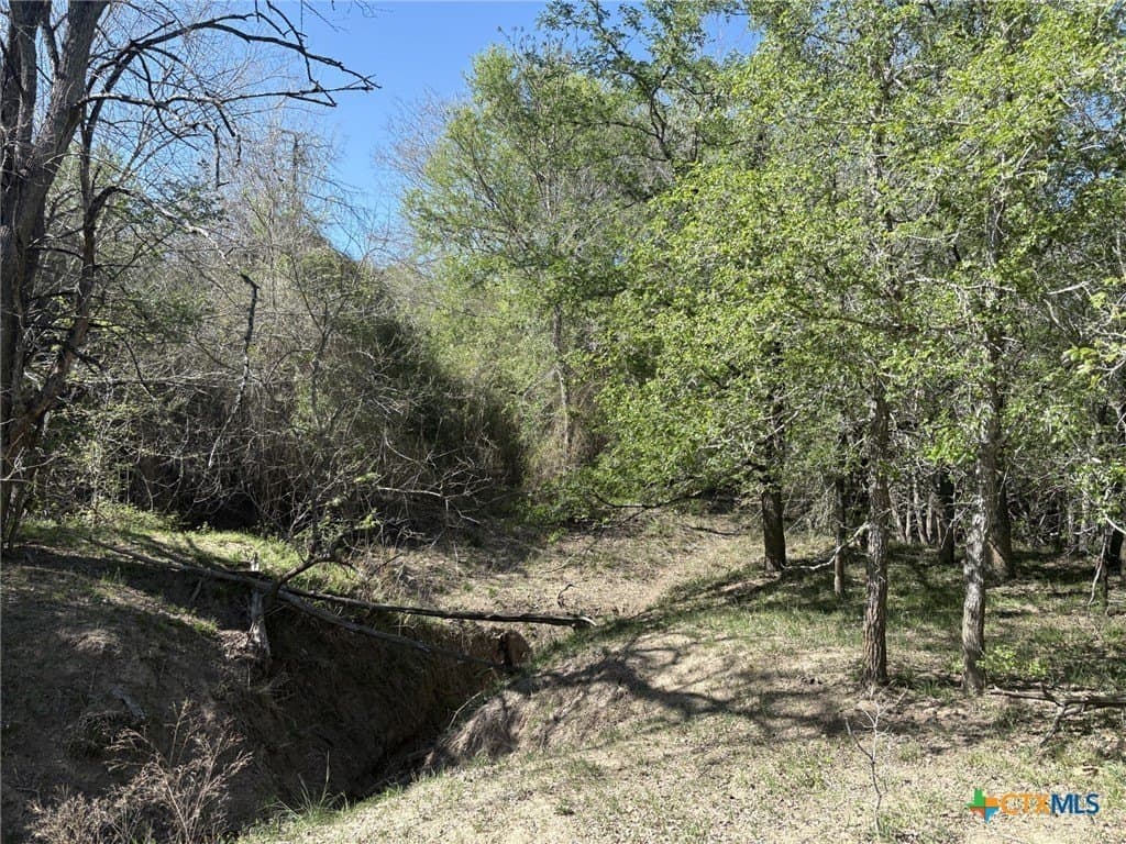 207.5 acres in Fayette County - photo 17