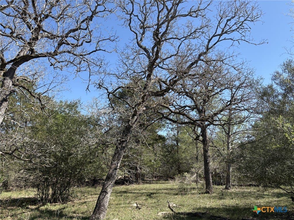 207.5 acres in Fayette County - photo 13