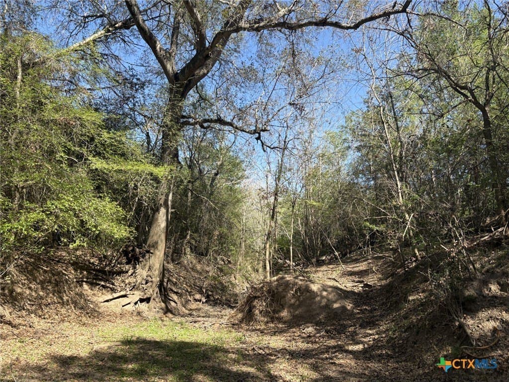207.5 acres in Fayette County - photo 11