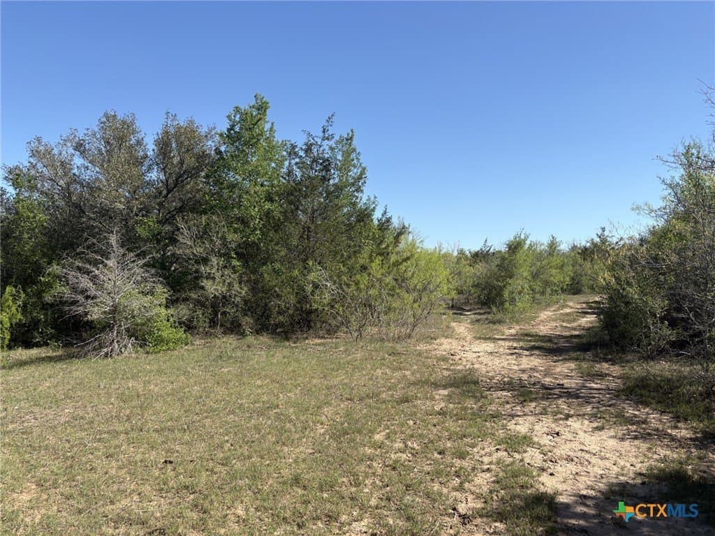 207.5 acres in Fayette County - photo 18