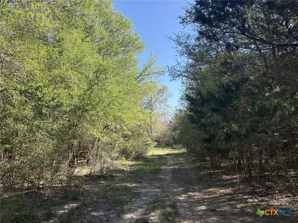 207.5 acres in Fayette County featured view