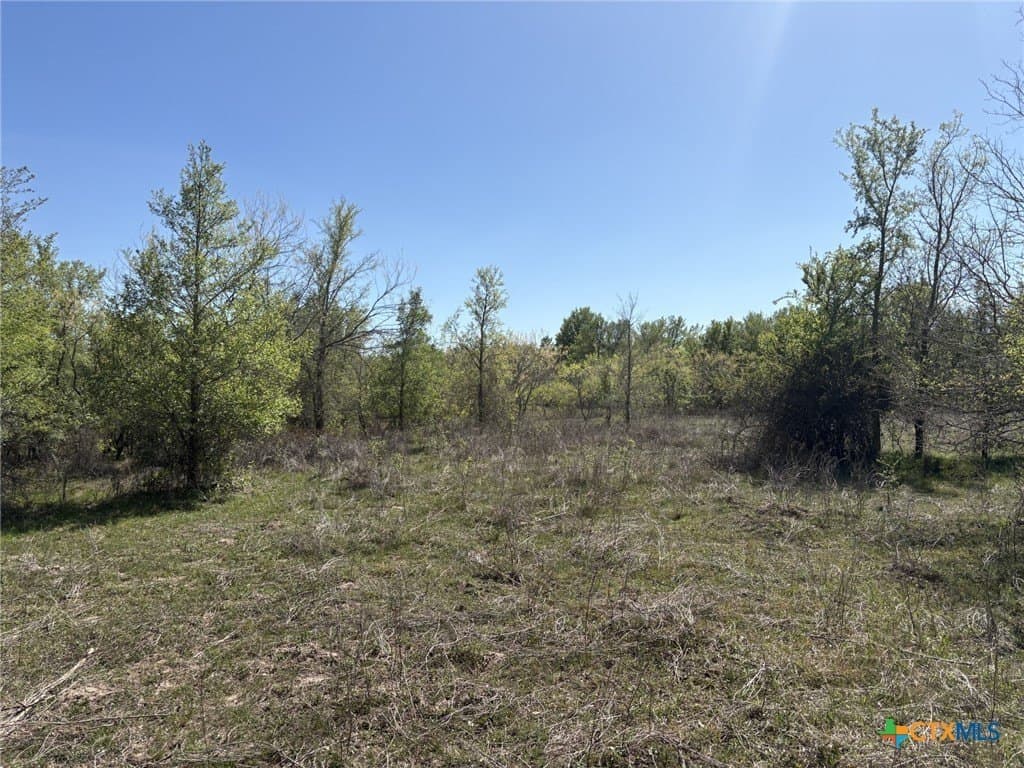 207.5 acres in Fayette County - photo 9