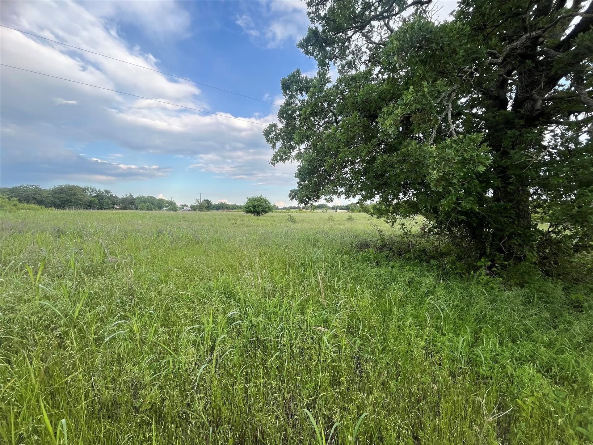 16.05 acres in Montague County