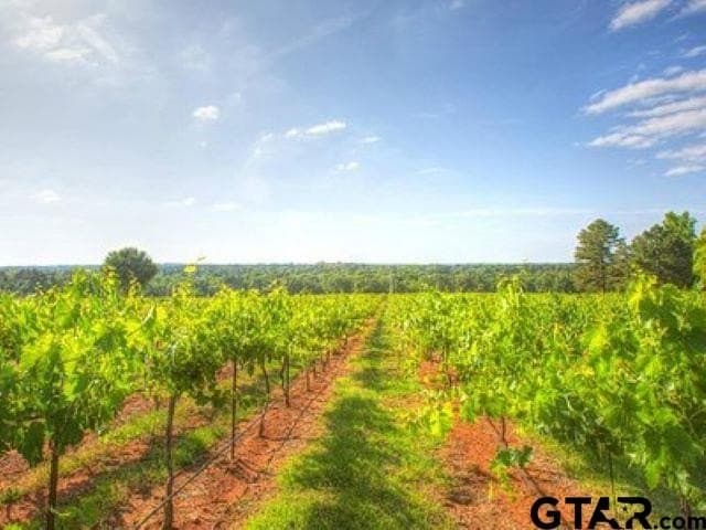 32.46 acres in Cherokee County - photo 7