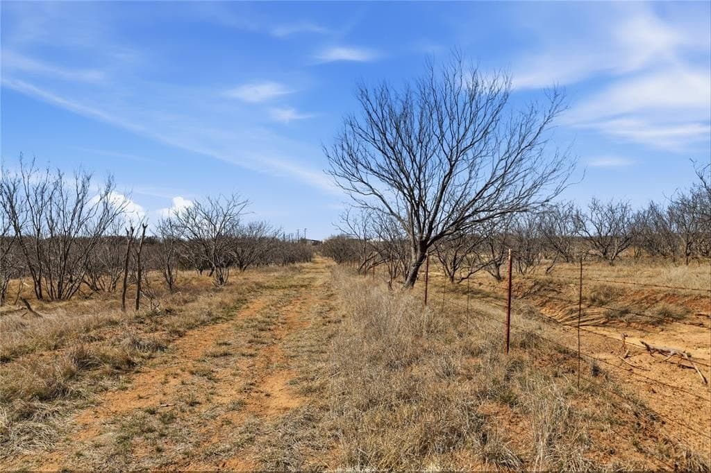 32.76 acres in Stephens County featured view