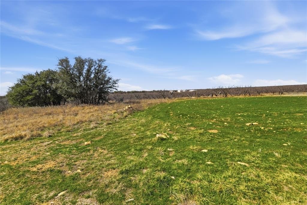 32.76 acres in Stephens County gallery image 4