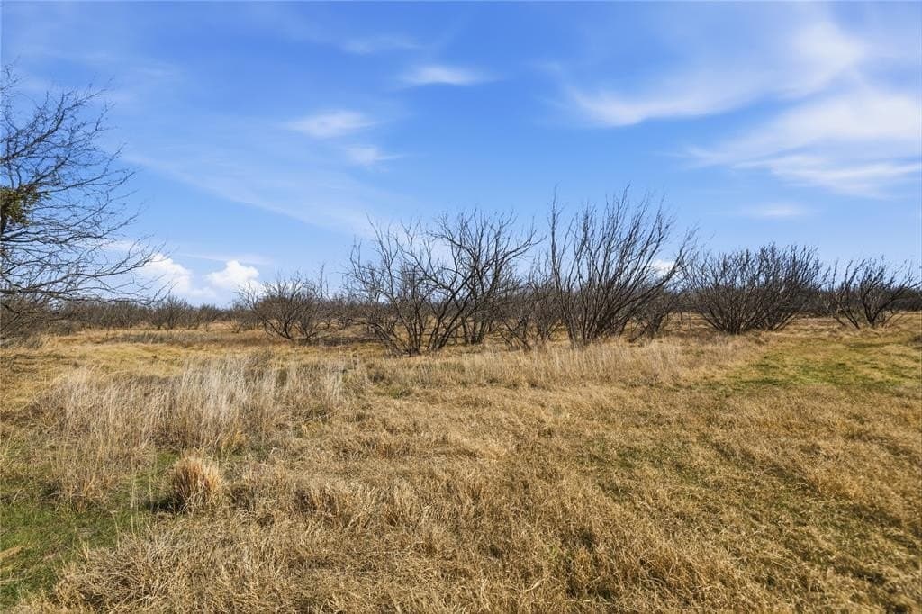 32.76 acres in Stephens County gallery image 3