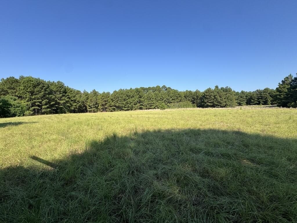 12.36 acres in Texas County - photo 17