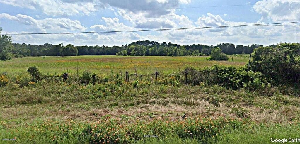 12.36 acres in Texas County - photo 4