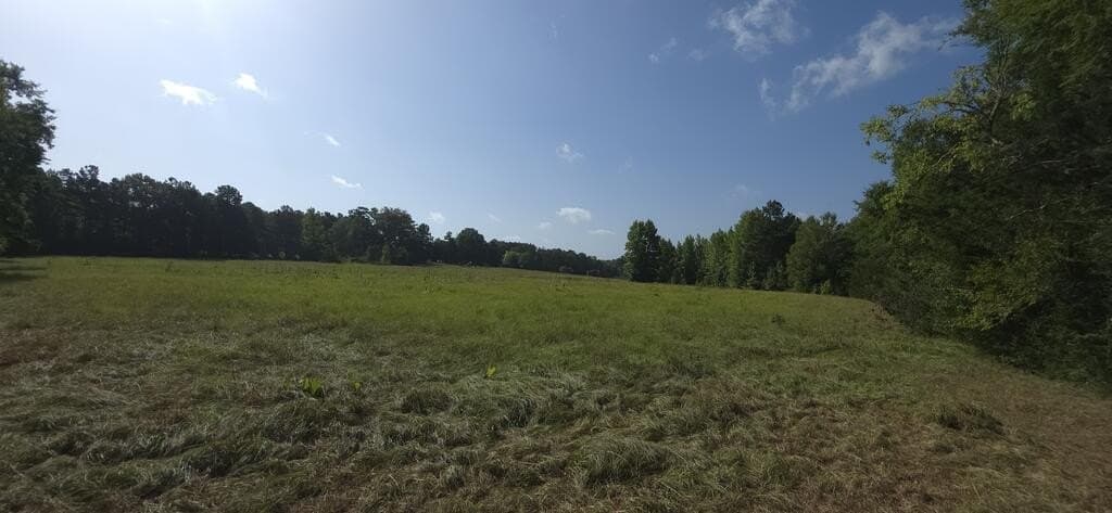 7 acres in Texas County - photo 4