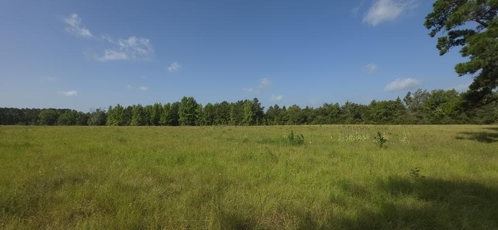 7 acres in Texas County - photo 3