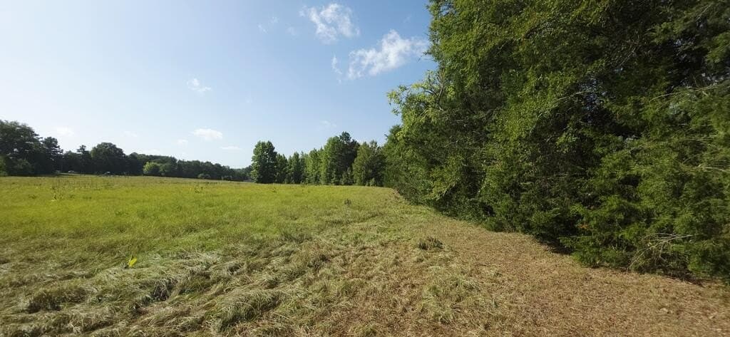 7 acres in Texas County - photo 5