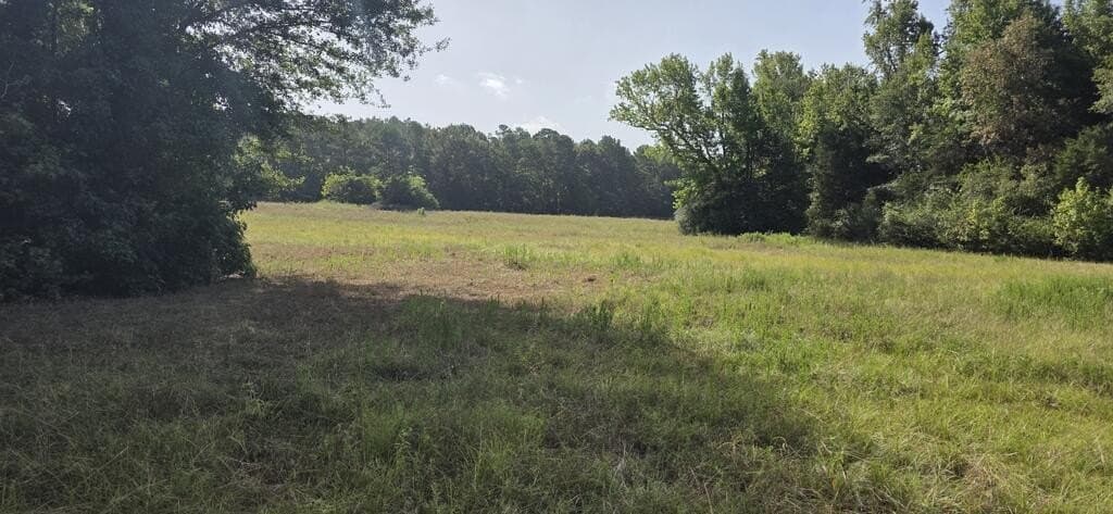 7 acres in Texas County - photo 6