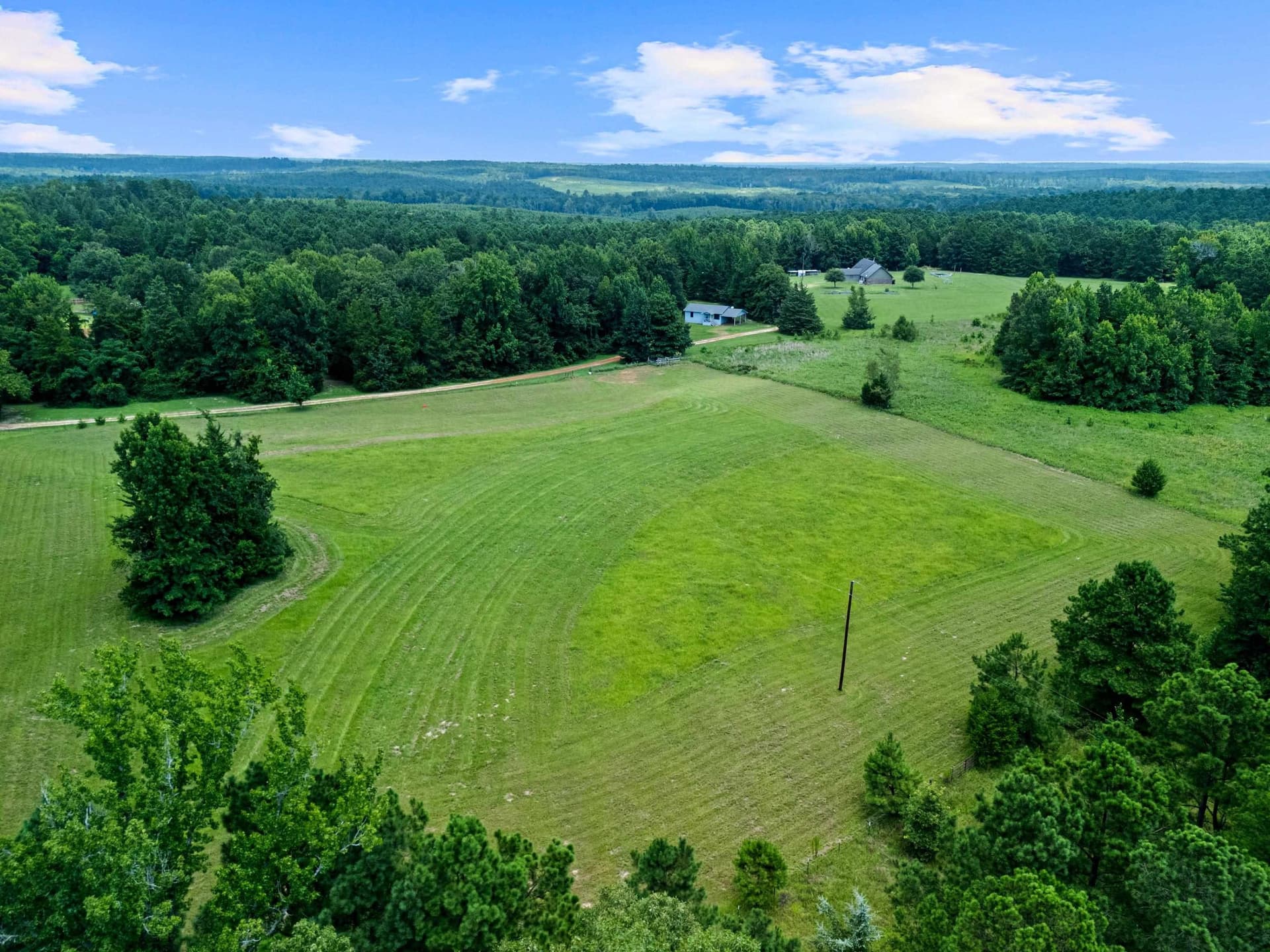 50.3 acres in Cass County gallery image 4