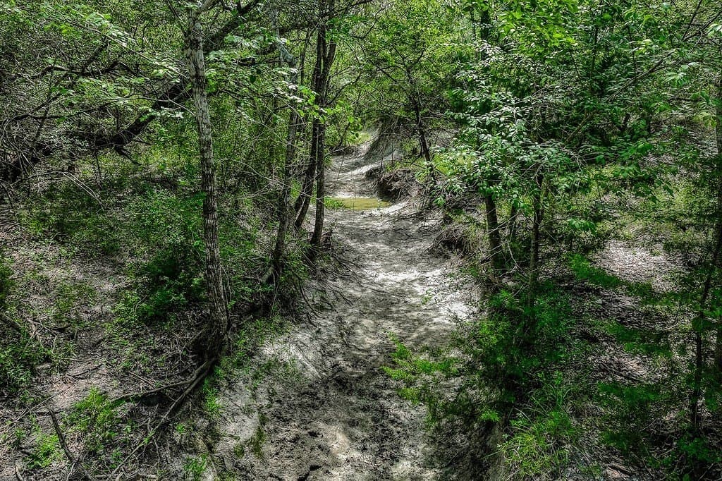 58.44 acres in Fayette County - photo 6