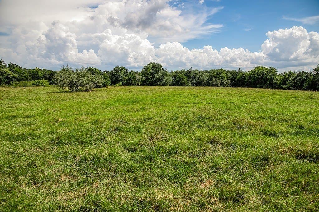 58.44 acres in Fayette County gallery image 2