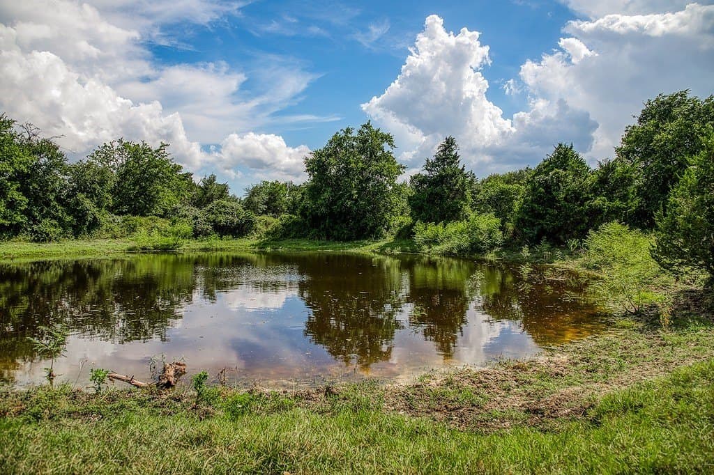 58.44 acres in Fayette County - photo 9