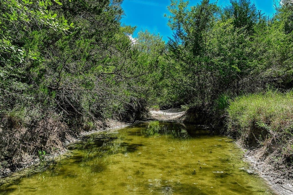 58.44 acres in Fayette County featured view