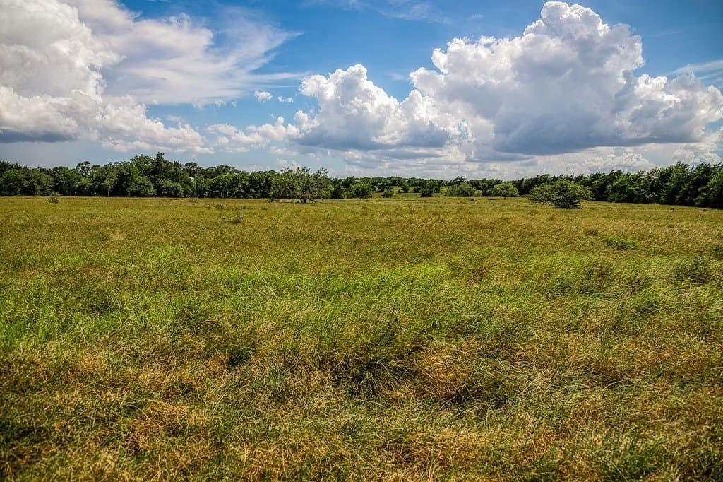 58.44 acres in Fayette County - photo 12