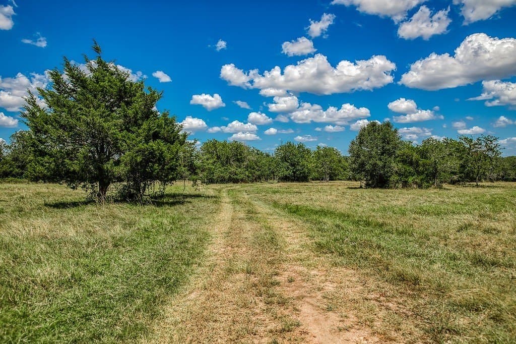 58.44 acres in Fayette County - photo 14