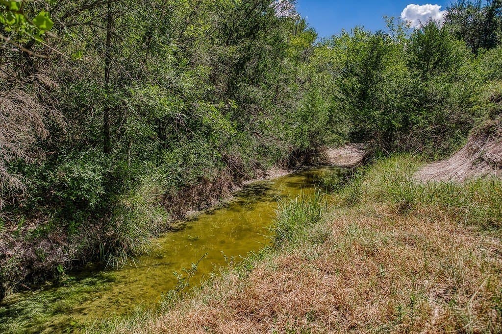 58.44 acres in Fayette County gallery image 3