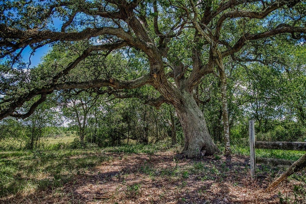 58.44 acres in Fayette County - photo 8