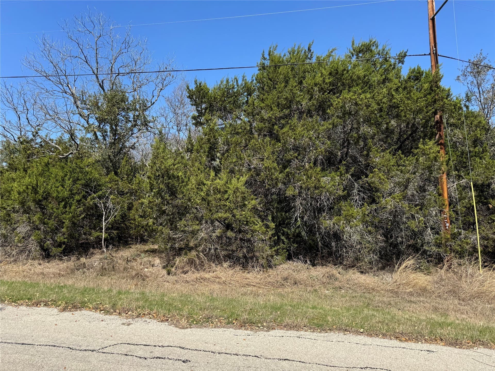 0.31 acres in Hill County - photo 3