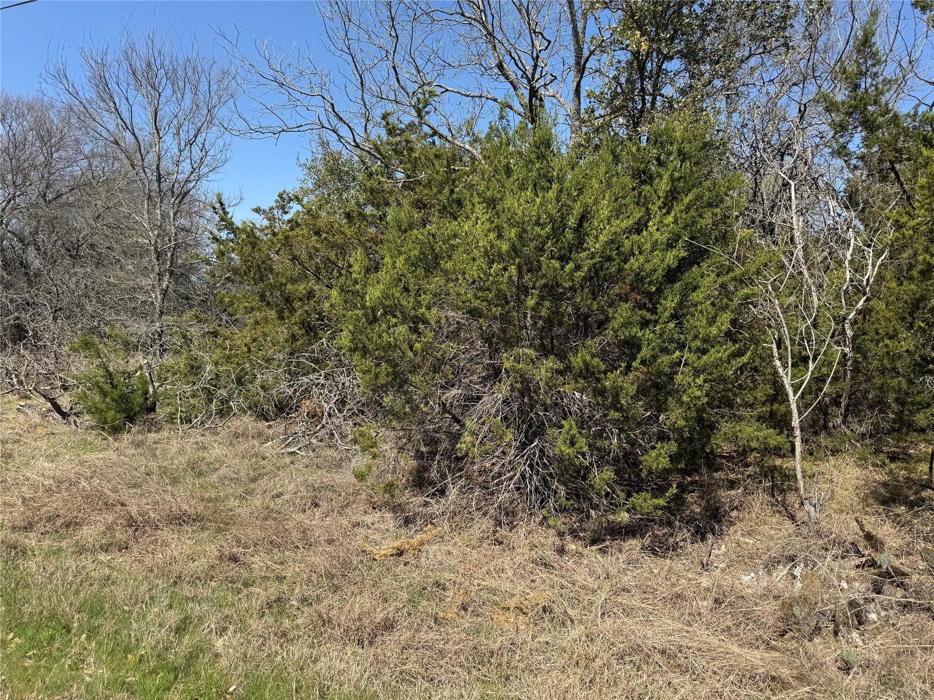 0.31 acres in Hill County - photo 6