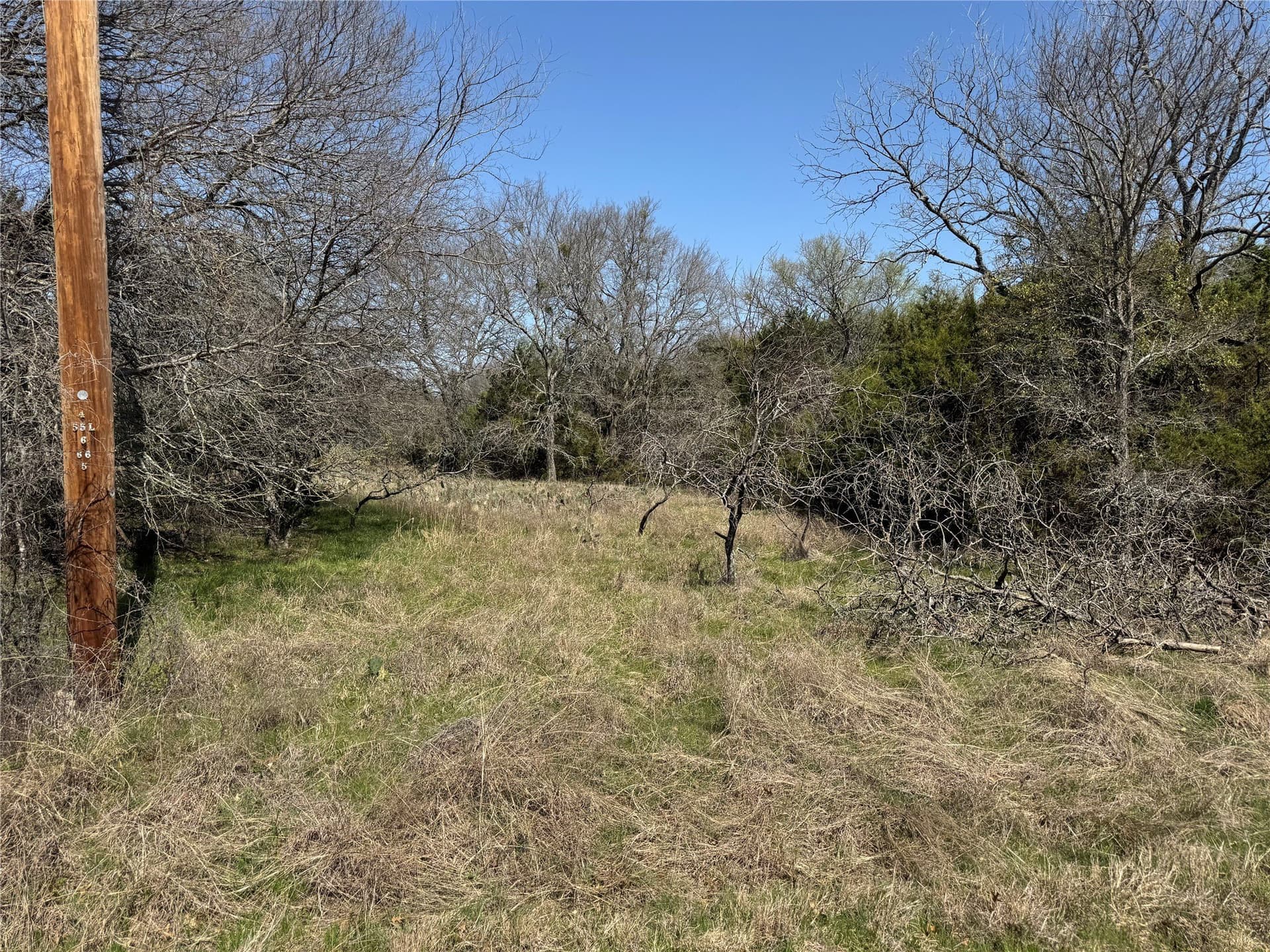 0.31 acres in Hill County - photo 7