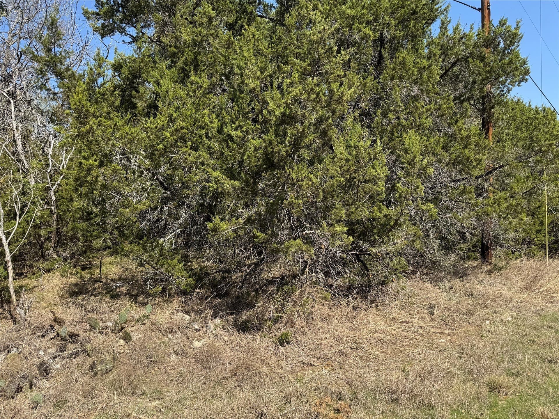 0.31 acres in Hill County - photo 5