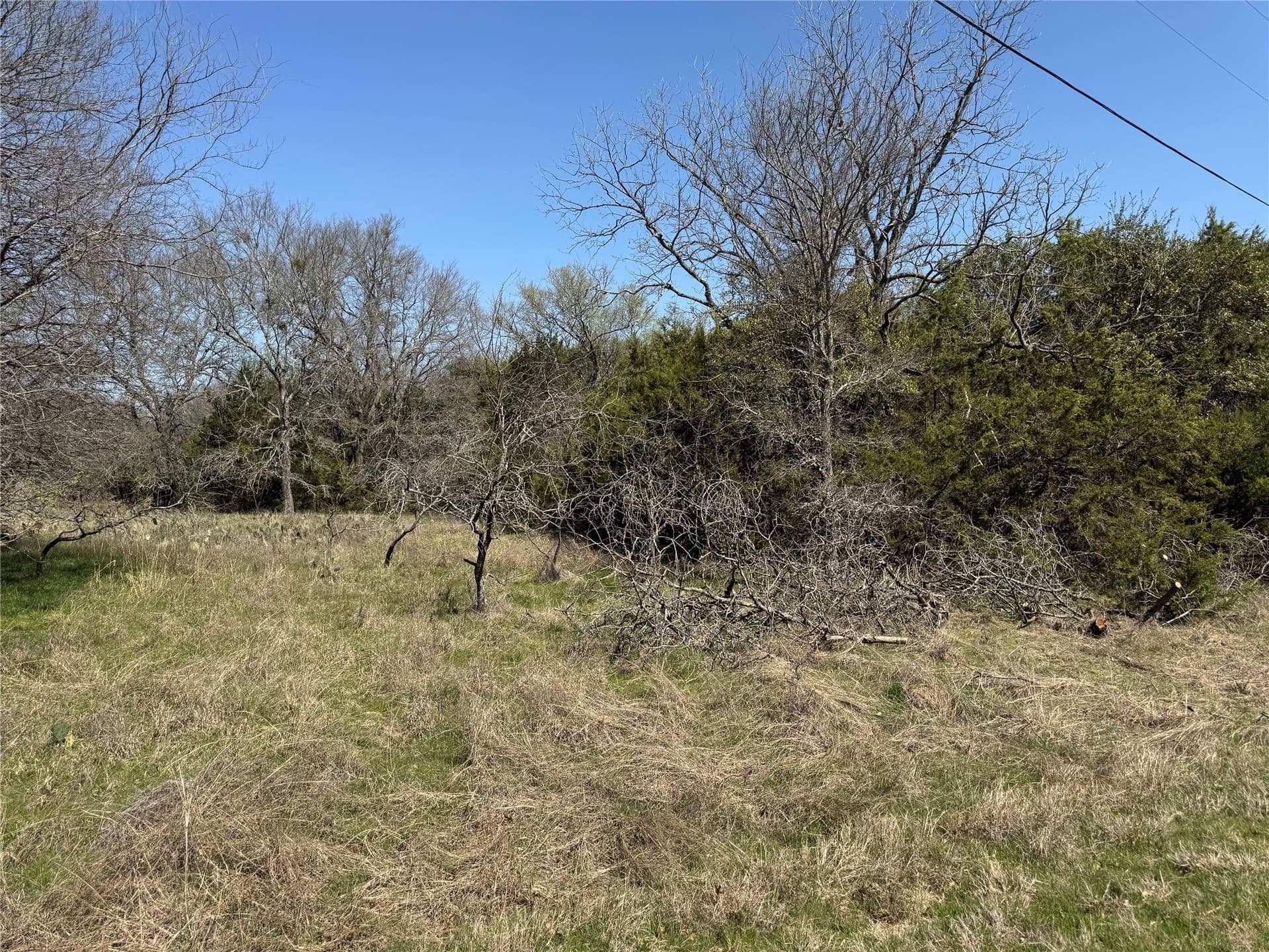 0.31 acres in Hill County - photo 8